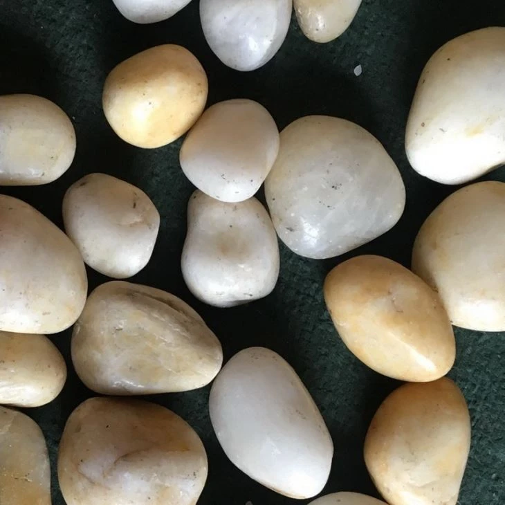 pebble garden
